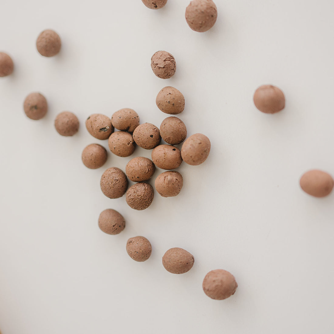 LECA: The game-changing potting media for happy, healthy plants