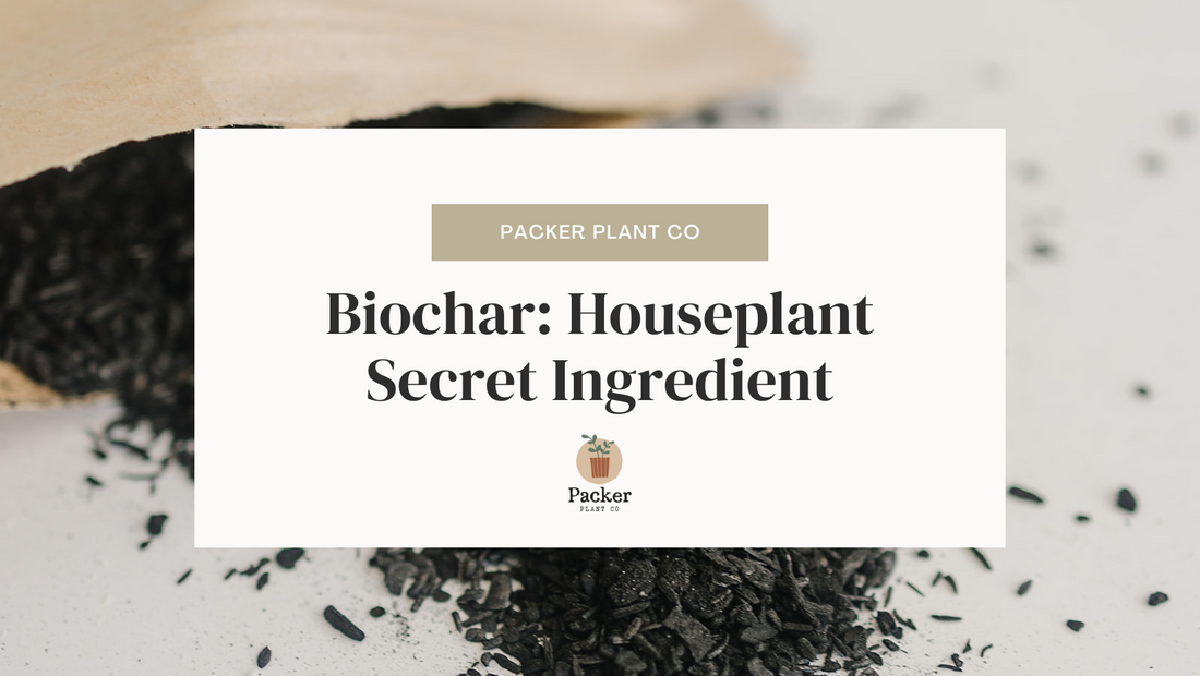 Biochar: The Most Underrated Soil Amendment