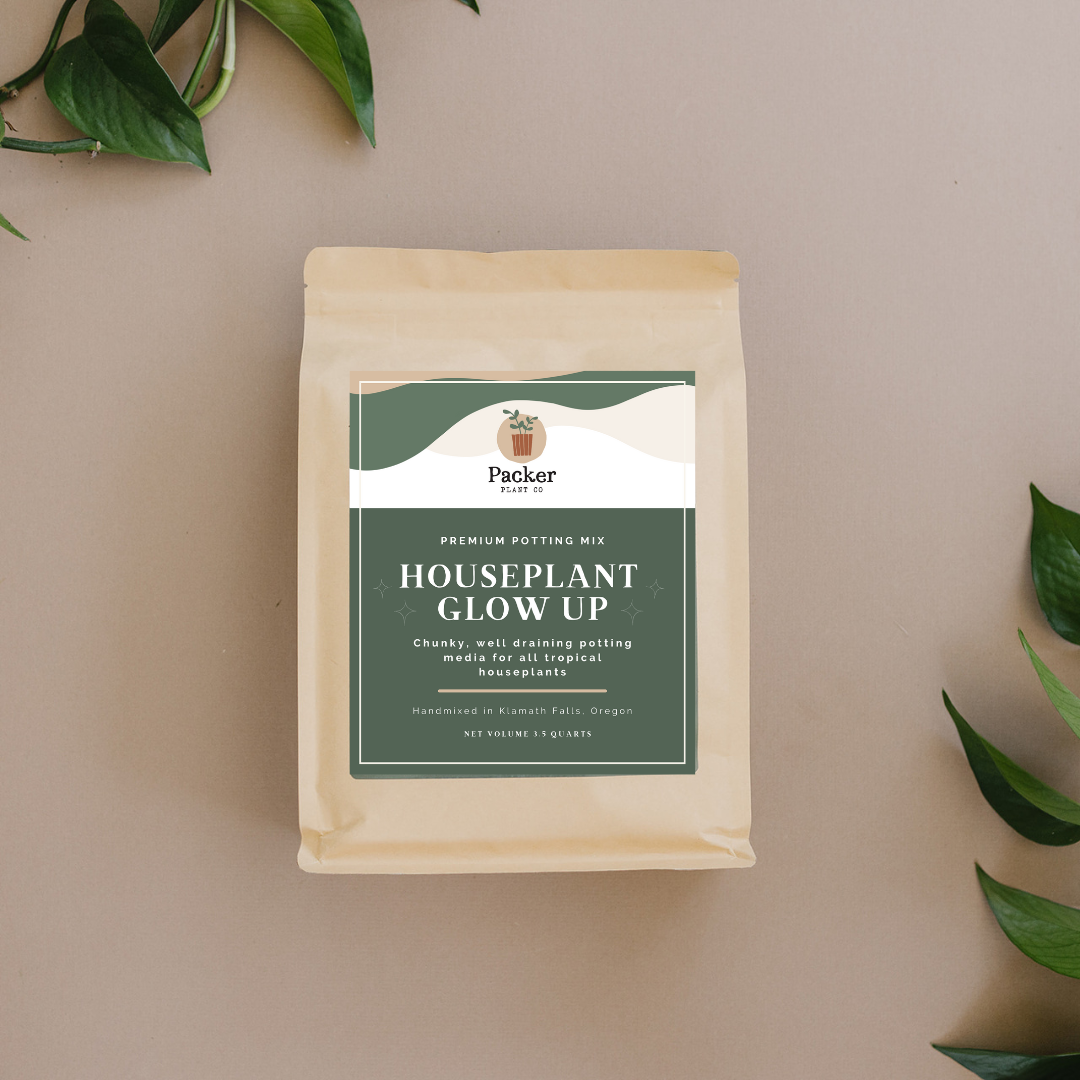 Get Ready to Glow Up: Introducing Our Signature Houseplant Potting Mix