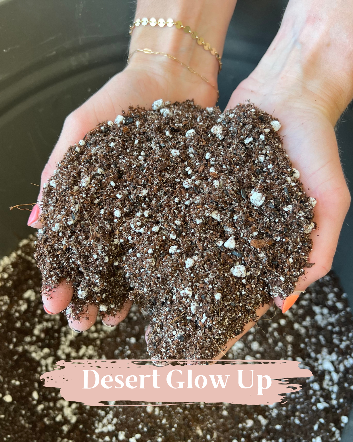 Premium Houseplant Potting Media