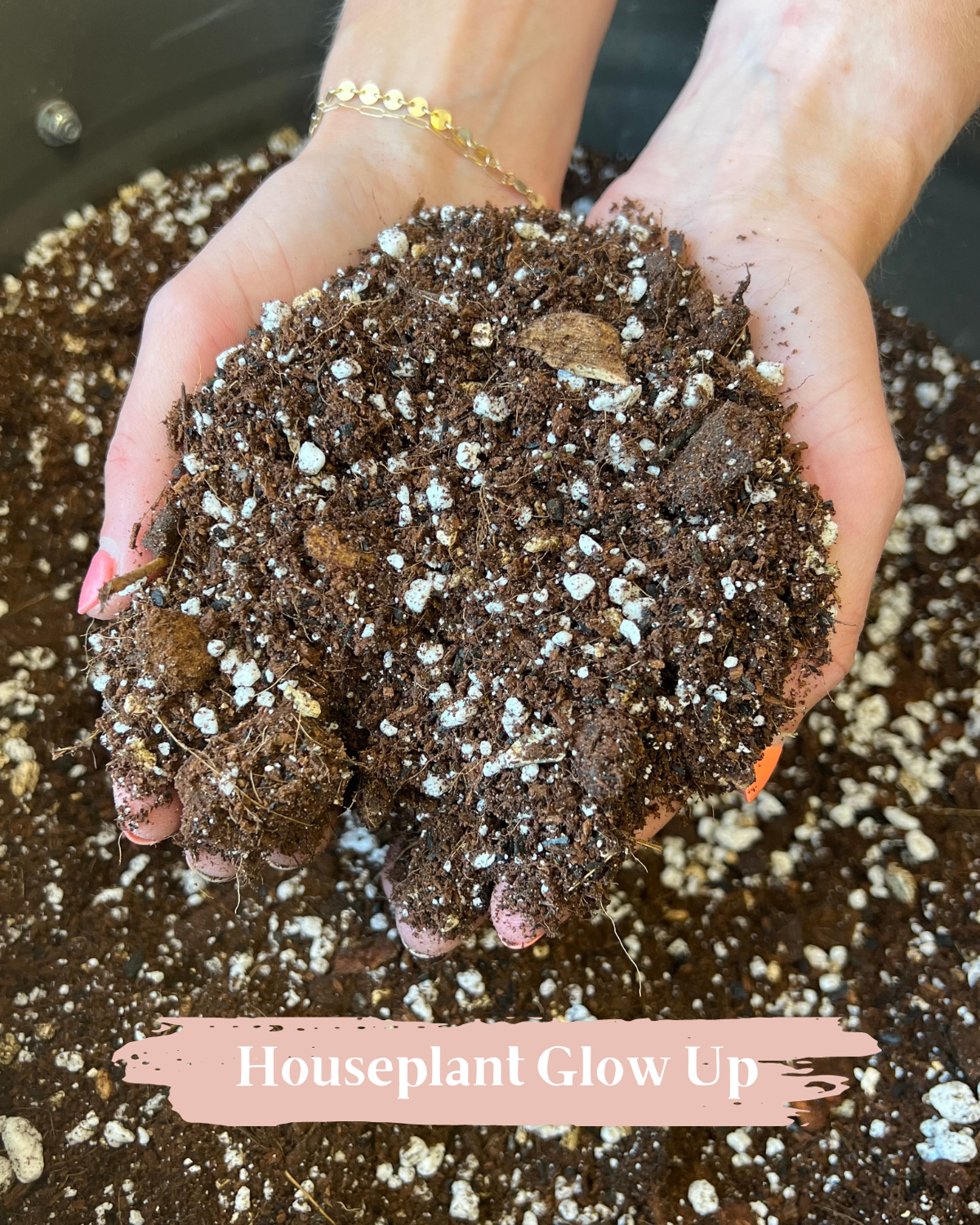 Premium Houseplant Potting Media
