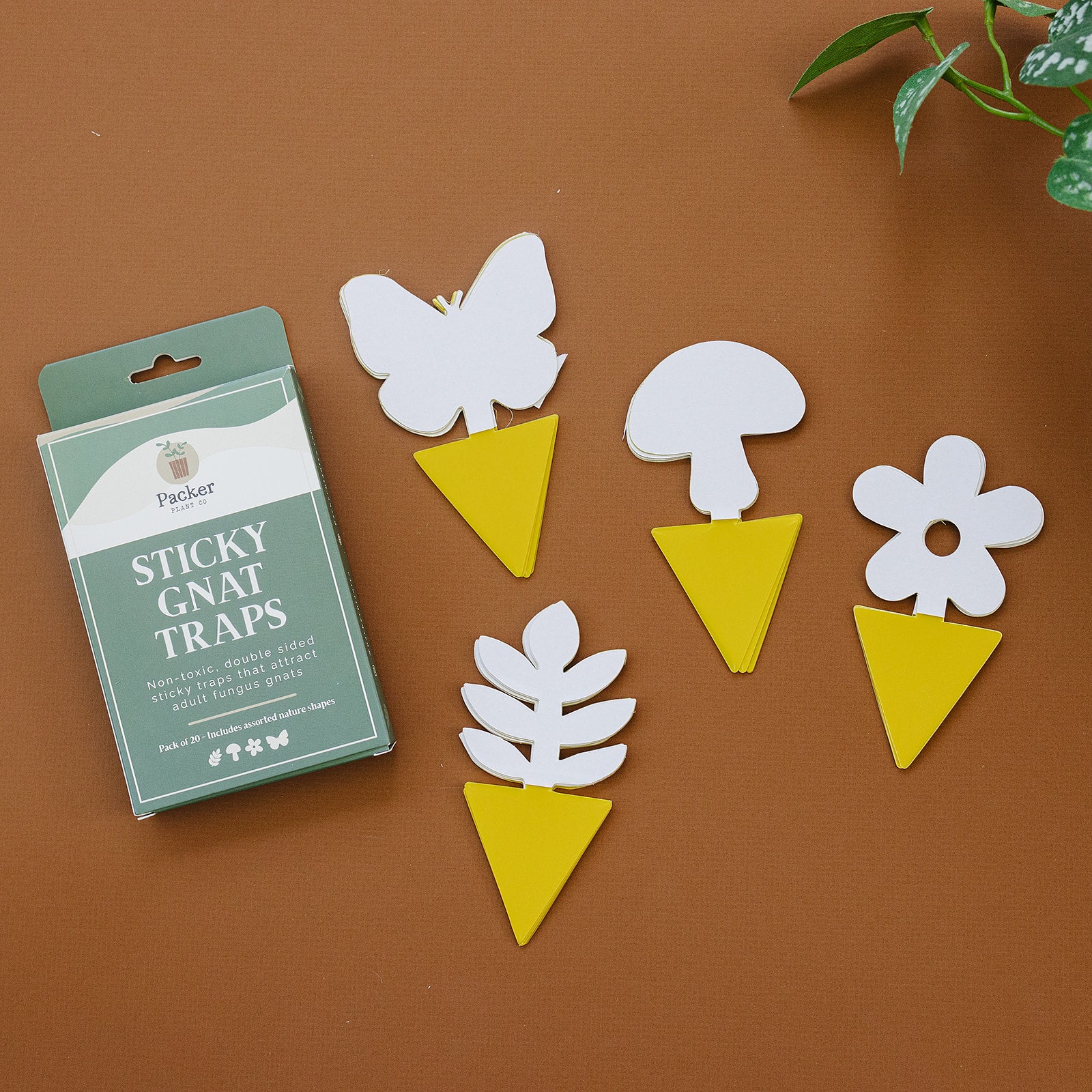 Sticky Gnat Traps (20 ct) | Nature Shapes – Packer Plant Co