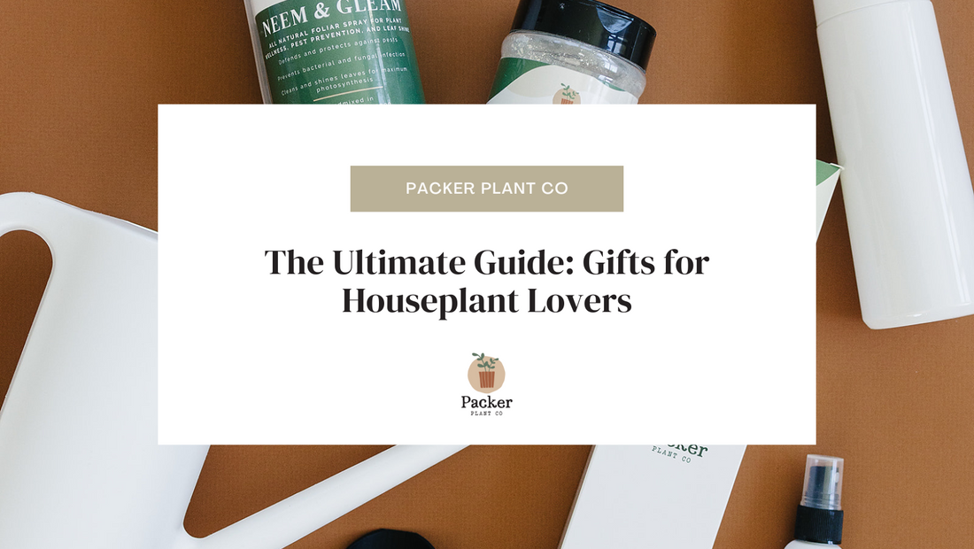 The Ultimate Guide: Gifts for Houseplant Lovers