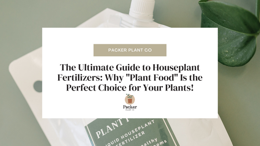 Give Your Plants a Boost with Plant Food!