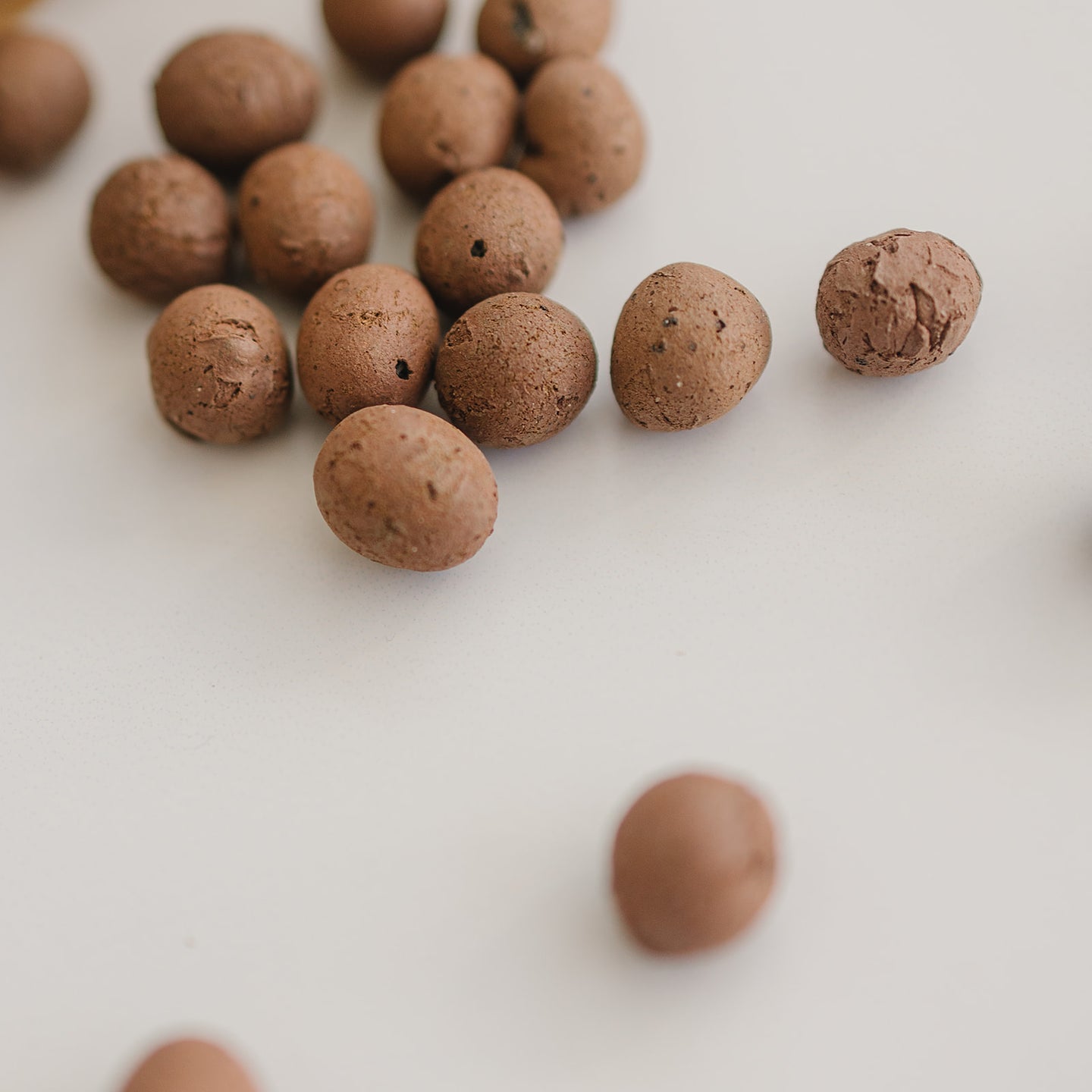 Premium LECA Potting Medium Packer Plant Co