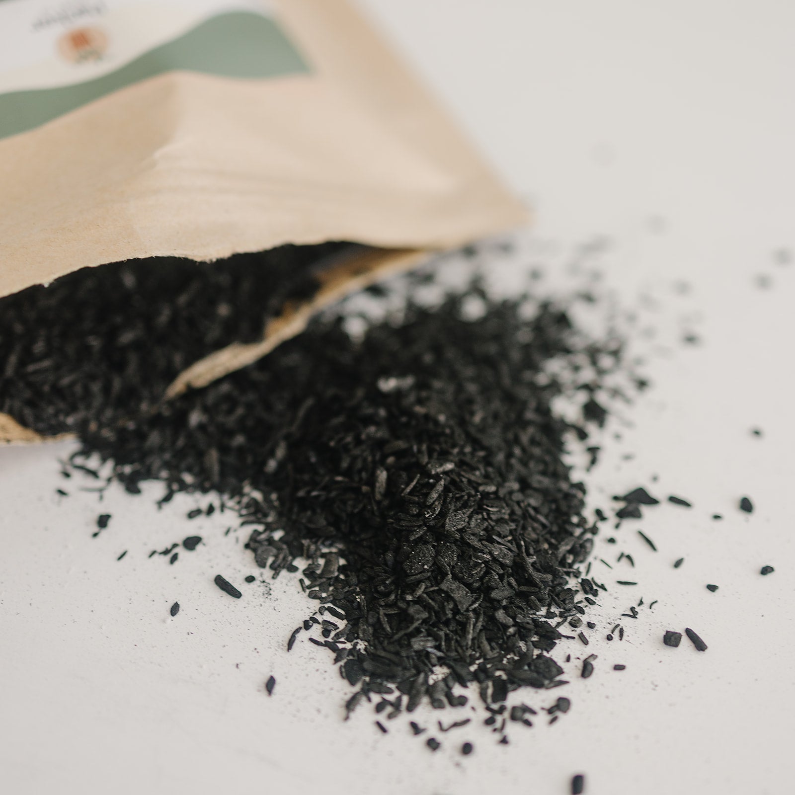 Horticultural Charcoal Biochar for Houseplants & Terrariums – The Plant  Lady SF