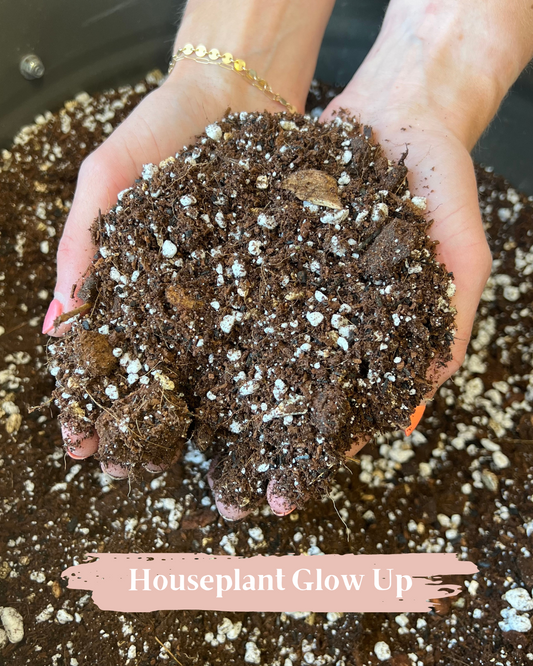 Premium Houseplant Potting Media