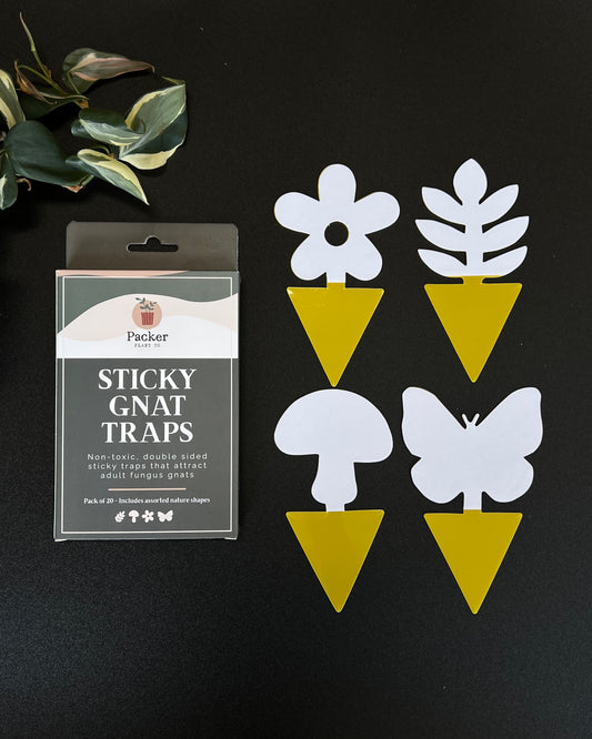 Sticky Gnat Traps (20 ct) | Nature Shapes