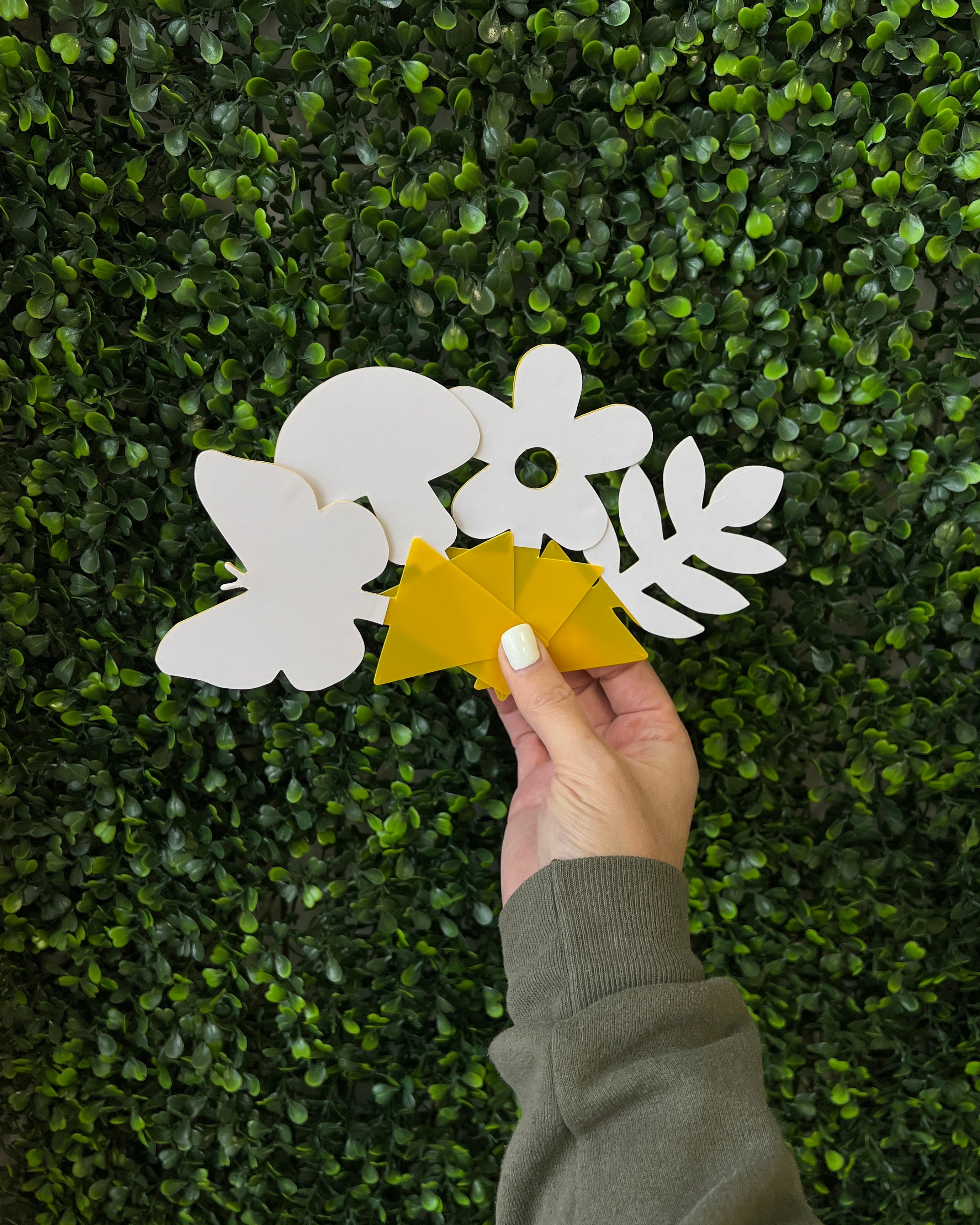 Sticky Gnat Traps (20 ct) | Nature Shapes – Packer Plant Co